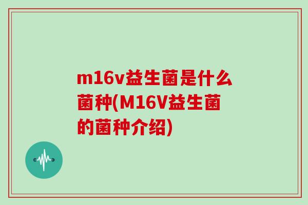 m16v益生菌是什么菌种(M16V益生菌的菌种介绍)