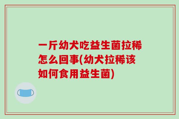 一斤幼犬吃益生菌拉稀怎么回事(幼犬拉稀该如何食用益生菌)