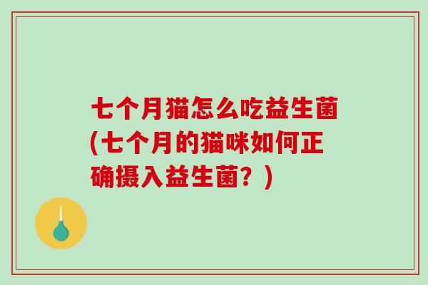 七个月猫怎么吃益生菌(七个月的猫咪如何正确摄入益生菌？)