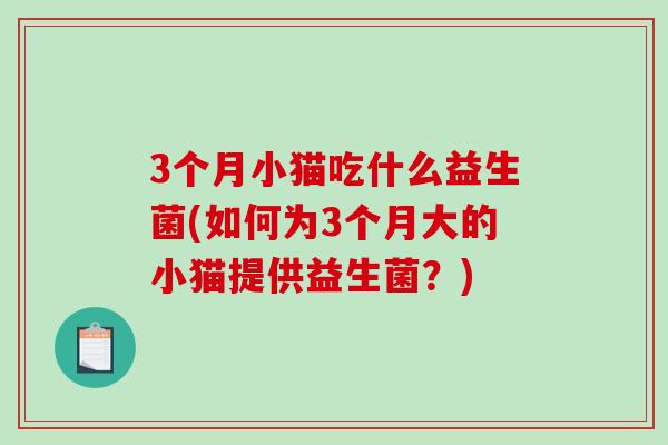 3个月小猫吃什么益生菌(如何为3个月大的小猫提供益生菌？)