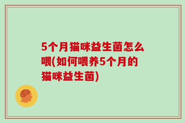 5个月猫咪益生菌怎么喂(如何喂养5个月的猫咪益生菌)