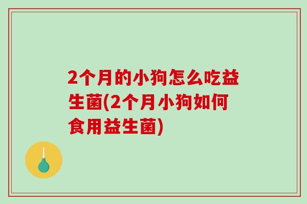 2个月的小狗怎么吃益生菌(2个月小狗如何食用益生菌)