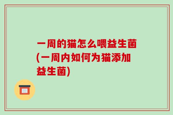 一周的猫怎么喂益生菌(一周内如何为猫添加益生菌)