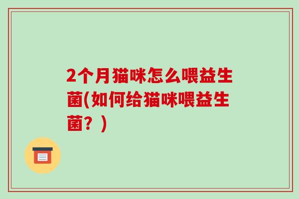 2个月猫咪怎么喂益生菌(如何给猫咪喂益生菌？)