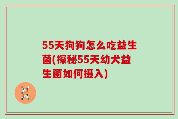55天狗狗怎么吃益生菌(探秘55天幼犬益生菌如何摄入)