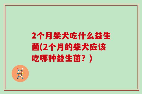 2个月柴犬吃什么益生菌(2个月的柴犬应该吃哪种益生菌？)