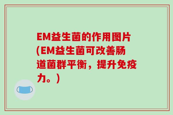 EM益生菌的作用图片(EM益生菌可改善肠道菌群平衡，提升免疫力。)