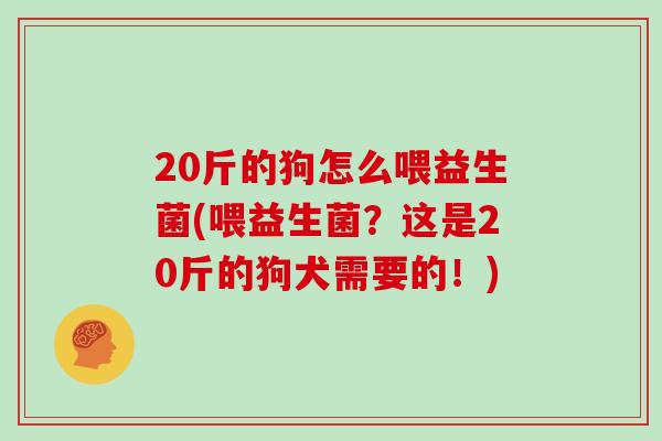 20斤的狗怎么喂益生菌(喂益生菌？这是20斤的狗犬需要的！)