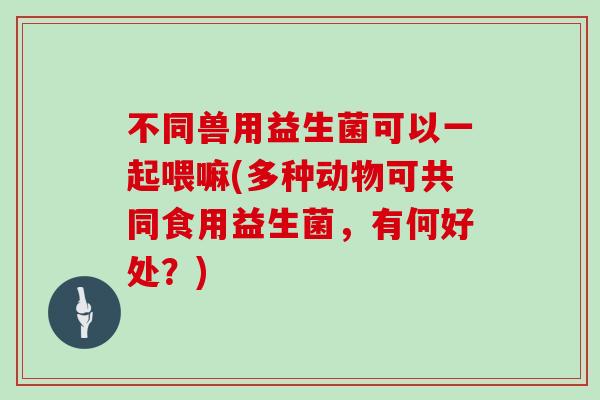 不同兽用益生菌可以一起喂嘛(多种动物可共同食用益生菌，有何好处？)