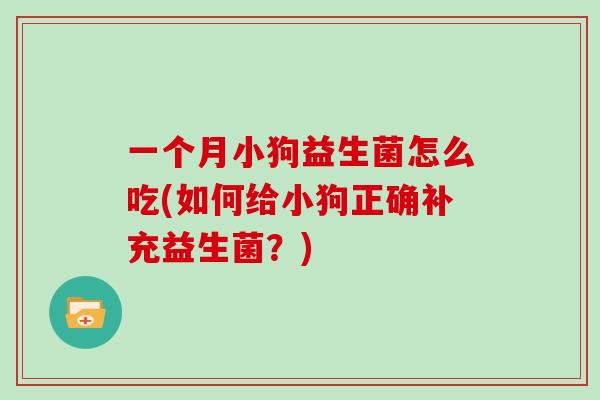 一个月小狗益生菌怎么吃(如何给小狗正确补充益生菌？)