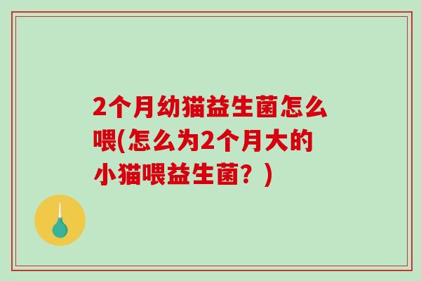 2个月幼猫益生菌怎么喂(怎么为2个月大的小猫喂益生菌？)