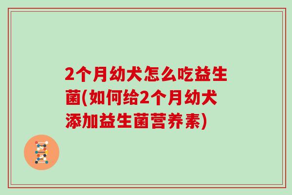 2个月幼犬怎么吃益生菌(如何给2个月幼犬添加益生菌营养素) 2个月幼犬怎么吃益生菌(如何给2个月幼犬添加益生菌营养素)