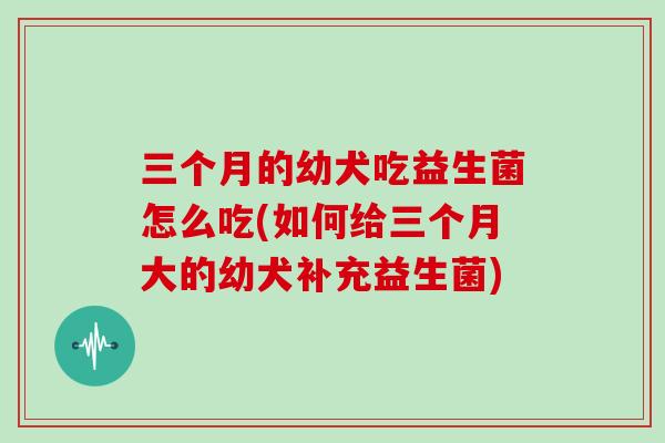 三个月的幼犬吃益生菌怎么吃(如何给三个月大的幼犬补充益生菌)