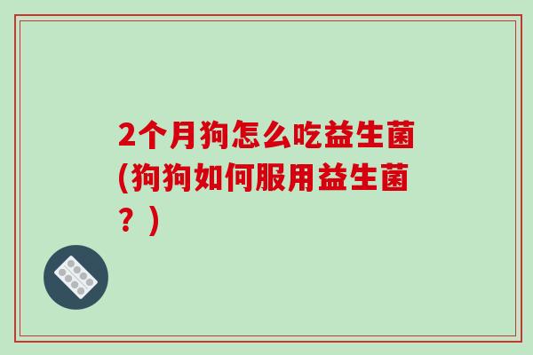 2个月狗怎么吃益生菌(狗狗如何服用益生菌？)