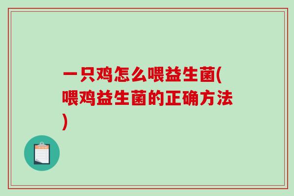 一只鸡怎么喂益生菌(喂鸡益生菌的正确方法)