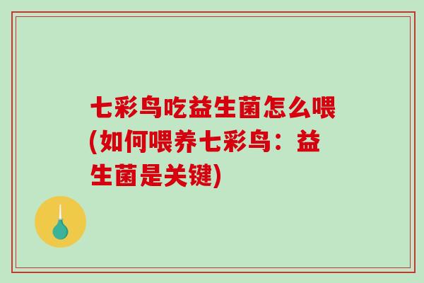 七彩鸟吃益生菌怎么喂(如何喂养七彩鸟：益生菌是关键)