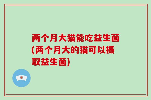 两个月大猫能吃益生菌(两个月大的猫可以摄取益生菌)