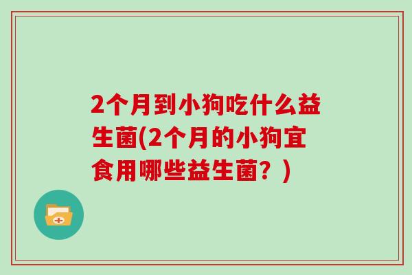 2个月到小狗吃什么益生菌(2个月的小狗宜食用哪些益生菌？)