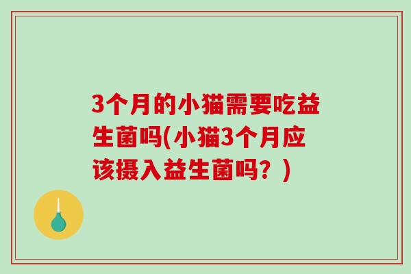 3个月的小猫需要吃益生菌吗(小猫3个月应该摄入益生菌吗？)