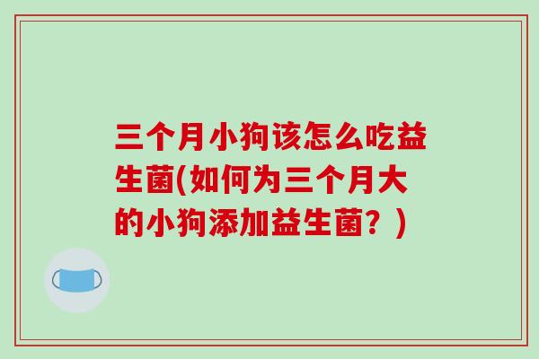 三个月小狗该怎么吃益生菌(如何为三个月大的小狗添加益生菌？)