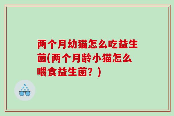 两个月幼猫怎么吃益生菌(两个月龄小猫怎么喂食益生菌？)