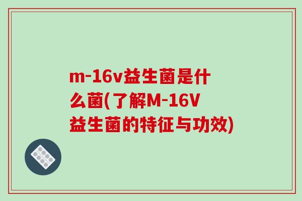 m-16v益生菌是什么菌(了解M-16V益生菌的特征与功效)