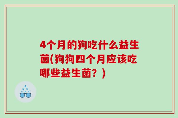 4个月的狗吃什么益生菌(狗狗四个月应该吃哪些益生菌？)