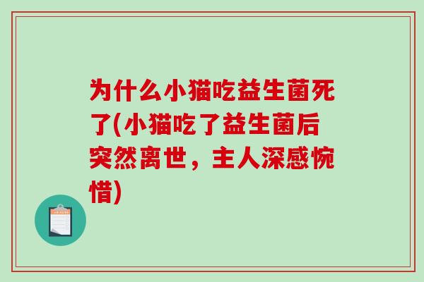为什么小猫吃益生菌死了(小猫吃了益生菌后突然离世，主人深感惋惜)