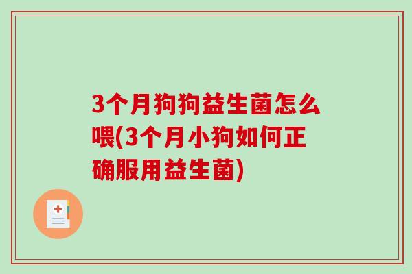 3个月狗狗益生菌怎么喂(3个月小狗如何正确服用益生菌)