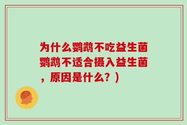 为什么鹦鹉不吃益生菌鹦鹉不适合摄入益生菌，原因是什么？)