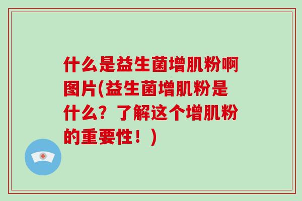 什么是益生菌增肌粉啊图片(益生菌增肌粉是什么？了解这个增肌粉的重要性！)