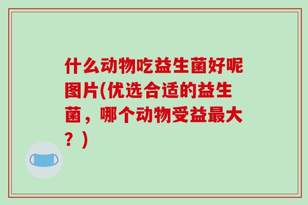 什么动物吃益生菌好呢图片(优选合适的益生菌,哪个动物受益大?) 什么动物吃益生菌好呢图片(优选合适的益生菌,哪个动物受益大?)