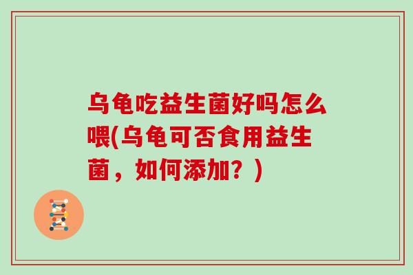 乌龟吃益生菌好吗怎么喂(乌龟可否食用益生菌，如何添加？)
