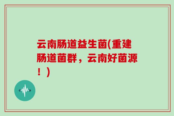 云南肠道益生菌(重建肠道菌群，云南好菌源！)