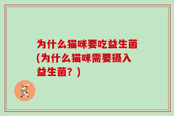 为什么猫咪要吃益生菌(为什么猫咪需要摄入益生菌？)