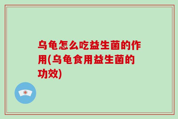 乌龟怎么吃益生菌的作用(乌龟食用益生菌的功效)