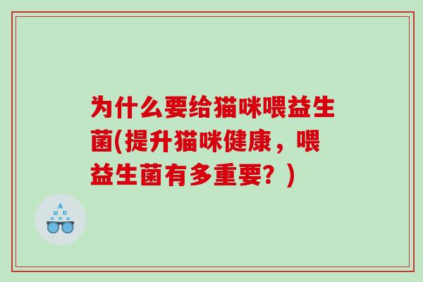 为什么要给猫咪喂益生菌(提升猫咪健康，喂益生菌有多重要？)
