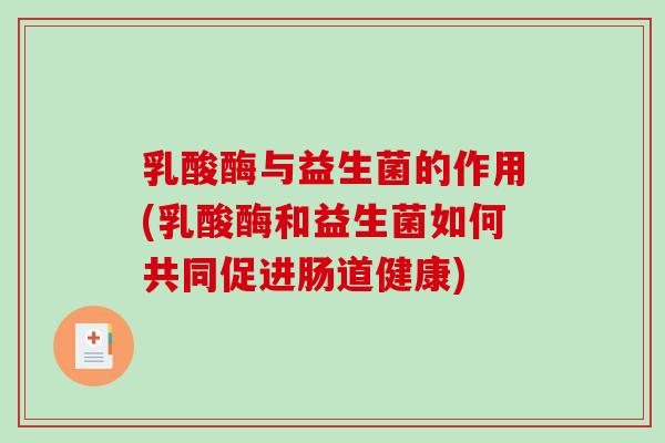 乳酸酶与益生菌的作用(乳酸酶和益生菌如何共同促进肠道健康)