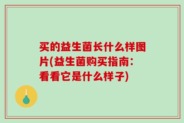 买的益生菌长什么样图片(益生菌购买指南：看看它是什么样子)