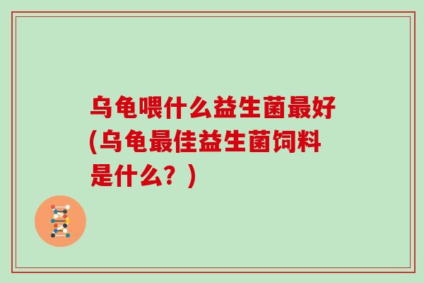 乌龟喂什么益生菌最好(乌龟最佳益生菌饲料是什么？)