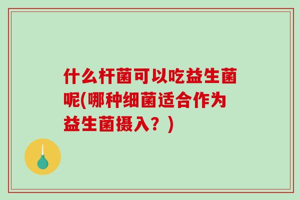什么杆菌可以吃益生菌呢(哪种适合作为益生菌摄入?) 什么杆菌可以吃益生菌呢(哪种适合作为益生菌摄入?)
