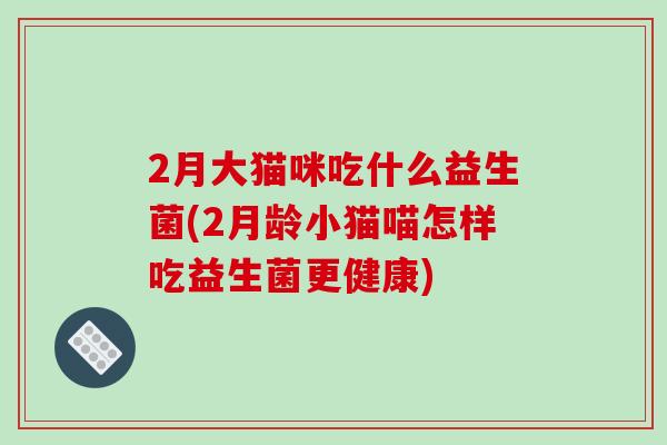 2月大猫咪吃什么益生菌(2月龄小猫喵怎样吃益生菌更健康)