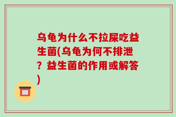 乌龟为什么不拉屎吃益生菌(乌龟为何不排泄？益生菌的作用或解答)