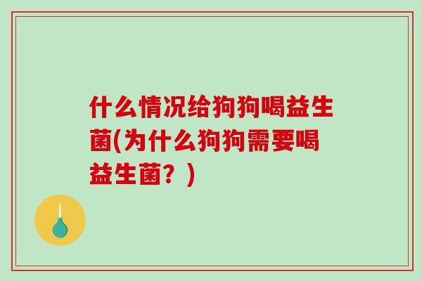 什么情况给狗狗喝益生菌(为什么狗狗需要喝益生菌？)