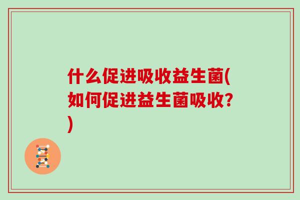 什么促进吸收益生菌(如何促进益生菌吸收？)