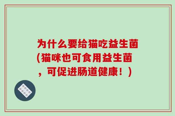 为什么要给猫吃益生菌(猫咪也可食用益生菌，可促进肠道健康！)