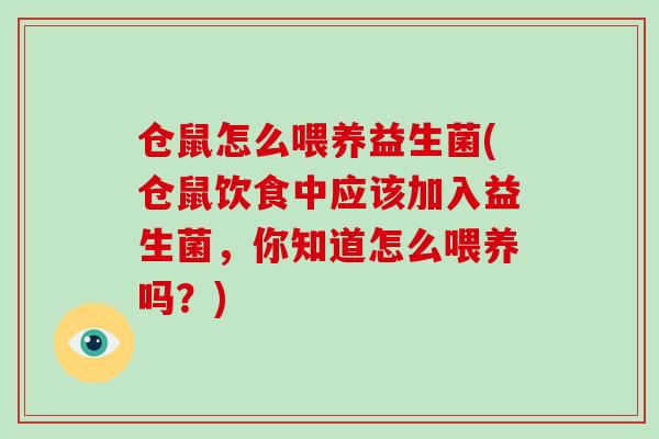 仓鼠怎么喂养益生菌(仓鼠饮食中应该加入益生菌，你知道怎么喂养吗？)