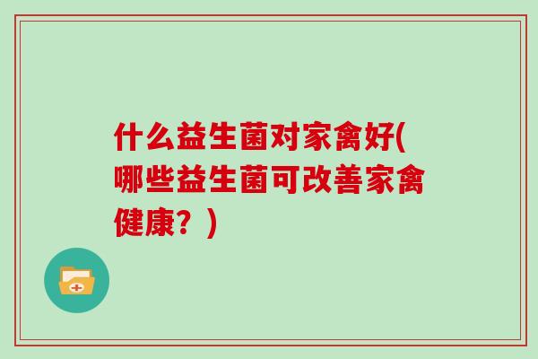 什么益生菌对家禽好(哪些益生菌可改善家禽健康？)