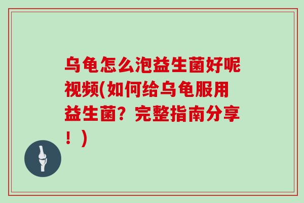 乌龟怎么泡益生菌好呢视频(如何给乌龟服用益生菌？完整指南分享！)
