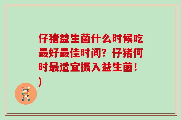 仔猪益生菌什么时候吃最好最佳时间？仔猪何时最适宜摄入益生菌！)